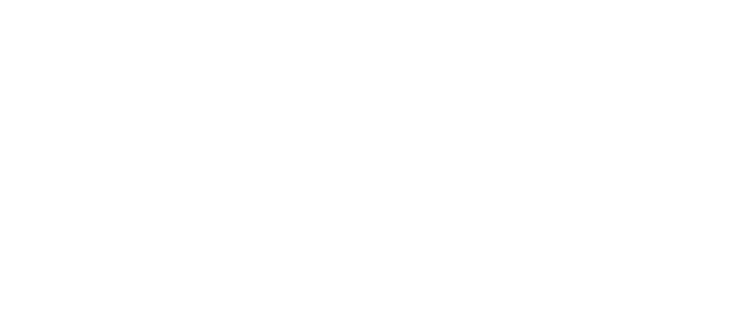 WAMCA Global